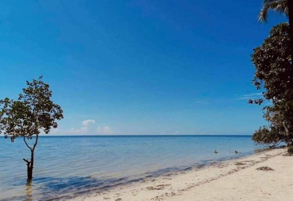Summer Days Пуэрто-Принцеса Экстерьер фото